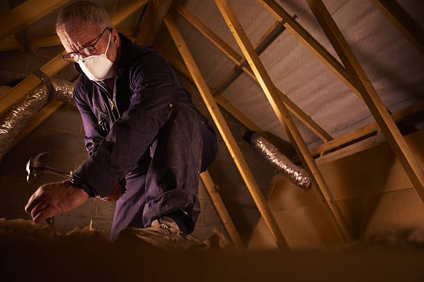 Best Insulation for Specific Applications in Ferron, UT